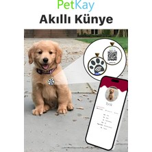 Petkay Köpekler Için Akıllı Künye Nfc Akıllı Künye Qr Kod Künye Mavi