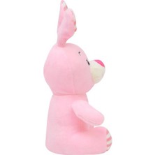 Tavşan 20 cm Pembe Pelüş Ayı Sevgiliye Hediye