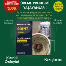 Feroxit Feroxit-Muhteşem  Muhabbet Kuşu Premix