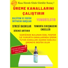 Feroxit Egg Mix Kuş Vitamini (ÜREME KANALLARINI ÇALIŞTIRIR Yumurta sayısını Artırır TÜM KANATLI TÜRLERİ İÇİN KULLANILIR) 50 ml