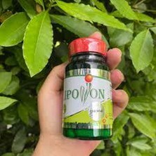 Lipovon Plus 30 Kapsül