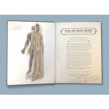 The Human Body: A Pop-Up Guide to Anatomy