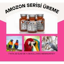 Feroxit Sultan Papağanı Üreme Arttırıcı ve Kızıştırıcı  Mix 50 gr