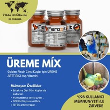 Feroxit Muhabbet Kuşu Üreme Mix 50 gr