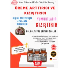 Feroxit Süper Tüm Kafes Kuşları Türleri Için  Üreme arttırıcı KIZIŞTIRICI 50 gr