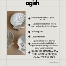 Ogish Concept Üçlü Istiridye Dekoratif Tabak (10X10)
