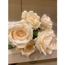 Plus Home Gül Demeti Çoklu Krem