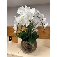 Plus Home Orkide Islak Dövme Pirinç  Saksı Arajman