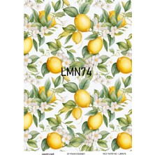 Lineart Pirinç Dekopaj Kağıdı LA-LMN74