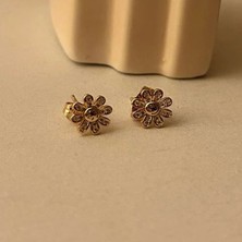 Kashpanya Yıldız Küpe