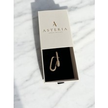 Asteria Jewelry Gold Taşlı Çengel Küpe