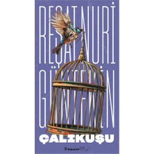 Çalıkuşu - Reşat Nuri Güntekin