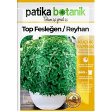 Patika Botanik 100 Adet Top Fesleğen - Top Reyhan (Ocimum Basilicum) Çiçek Tohumu