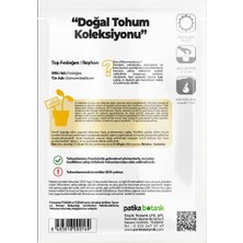 Patika Botanik 100 Adet Top Fesleğen - Top Reyhan (Ocimum Basilicum) Çiçek Tohumu