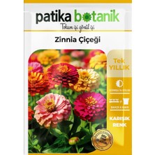 Patika Botanik 30 Adet Zinna Çiçek Tohumu