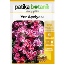 Patika Botanik 50 Adet Yer Açelyası (Godetia) Çiçek Tohumu