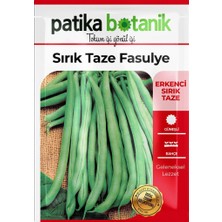 Patika Botanik 50 Adet Sırık Fasulye Tohumu ( Mine)