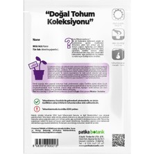 Patika Botanik 100 Adet Nane (Mentha) Çiçek Tohumu