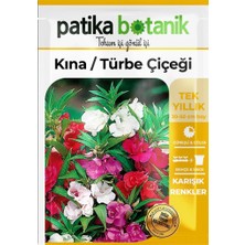 Patika Botanik Türbe Çiçeği (Impatiens Balsamina) Çiçek Tohumu 30 Adet