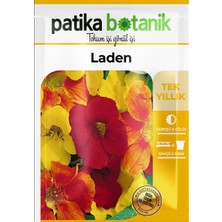 Patika Botanik 6 Adet Laden (Tropaeolum Majus) Çiçek Tohumu