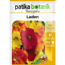 Patika Botanik 6 Adet Laden (Tropaeolum Majus) Çiçek Tohumu