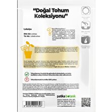 Patika Botanik 100 Adet Lobelya Çiçek Tohumu (Lobeliaerinus)