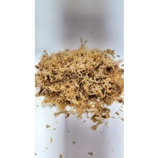 Plant Momzie 1 Litre Sphagnum Yosunu Bitki Köklendirme Yosunu