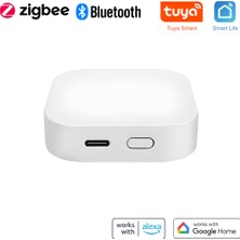 Tuya Uyumlu Zigbee + Bluetooth Köprü Cihazı ( Tuya, Smart Life Uyumlu Type- C Girişli Gateway Hub)