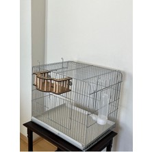 Paks Pet Kişiye Özel Kuş Balkonu İsim Yazılabilen Ahşap Kuş Oyuncağı