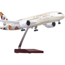 It-Sold 1/130 Ölçekli Etihad Airways Boeing 787 Model Uçak