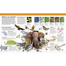 Knowledge Encyclopedia Animal - Dorling Kindersley