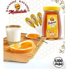 Balarısı Doğal Çiçek Balı 460 gr