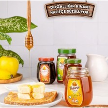 3'lü Lezzet Kestane,çiçek,çam Balı 250G