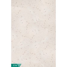 Ventrawall Krem Duvar Boyası C10 Ventrawall