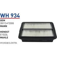 WH934 Hava Filtresi - Hyundai Elentra
