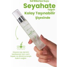 Bade Natural Biberiye Suyu Güçlendirici Saç Toniği Dökülme Karşıtı %100 Doğal ve Saf 30 ml