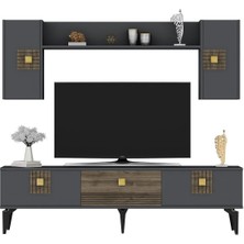 Demonte Home Mobilya Lunadh 180 cm Tv Ünitesi Antrasit Ceviz