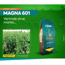 Magna 601 Orjinal Azot Bakterili Yonca Tohumu 10 kg