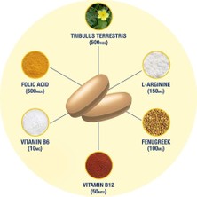 Gat Sport Testrol Gold Es Tribulus + Arginine + Selenium + Fenugreek + Saw Palmetto + Ginkgo Biloba - 60 Tablet