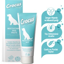 Crocus Köpek Multivitamin Macun 100gr