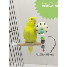 Ozzi Petshop Ozzi Petshop Kuş Oyuncak Zilli Top