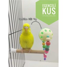 Ozzi Petshop Ozzi Petshop Kuş Oyuncak Zilli Top