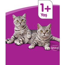 Whiskas  Yavru Tavuklu 85 gr 24X