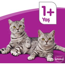 Whiskas  Güveç Sığırlı 85 gr 24X