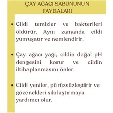 Savonnova Aktif Akne Ve Sivilceler Için Doğal Çay Ağacı Sabunu Katkısız Sabun 100 Gr