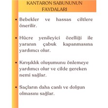 Savonnova Doğal Kantaron Sabunu, Yenileyici, Rahatlatan Nemli Pürüzsüz Ve Parlak Ciltler Için Sabun 100 Gr