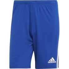Adidas Performance GK9153 Squadra 21 Shorts