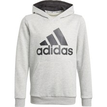Adidas Sportswear GN4019 adidas Essentials Hoodie