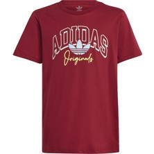 Adidas Originals IJ0695 Collegiate Graphic Pack BF Tee