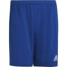Adidas Performance HG6294 Entrada 22 Shorts